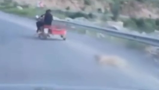 Motosikletin arkasına bağladığı köpeği metrelerce sürükledi