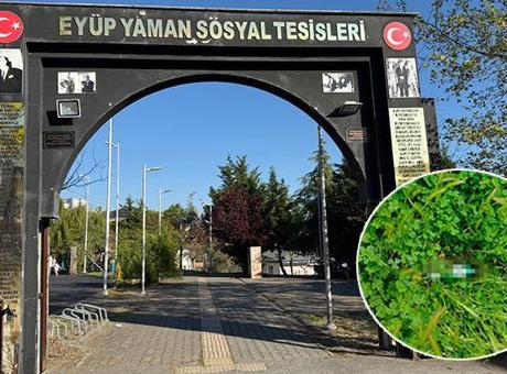 Parkta alkol alanların bıraktıkları şişedeki içkiyi su zannederek içen çocuk hastanelik oldu