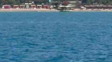 Side açıklarında görüntülendi! Turistler büyük heyecan yaşadı