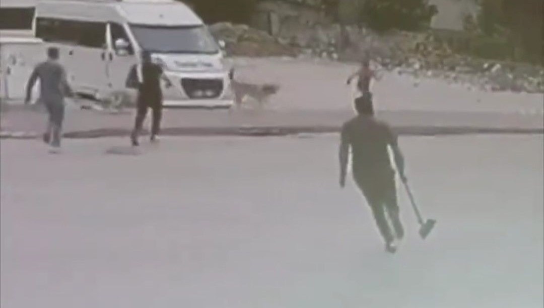 Sokak köpekleri çocuğa saldırdı