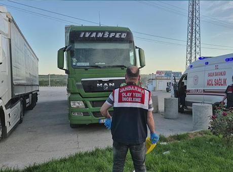 Sürücü park halindeki TIR’da ölü bulundu