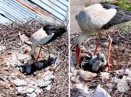Tam zamanında mucize! Köyü terk etmediler Anneler Günü’nde ‘anne’ oldular