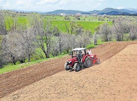 Tarım arazileri toplulaşıyor yıllık 47 milyar TL cepte kalıyor