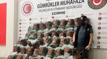 Ticaret Bakanlığı’ndan dev operasyon! 418 milyon TL’lik uyuşturucu ele geçirildi