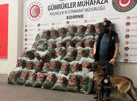 Ticaret Bakanlığı’ndan dev operasyon! 418 milyon TL’lik uyuşturucu ele geçirildi