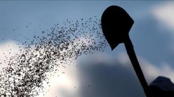 Tohum sektöründe AR-GE faaliyetlerine desteklerin yerliliği artırması bekleniyor