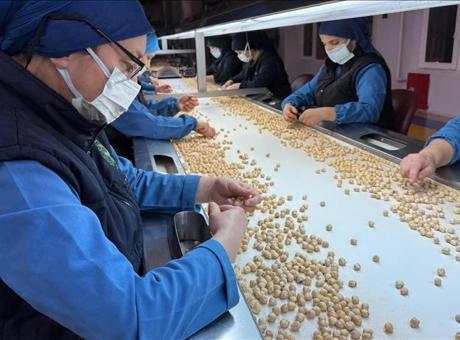 Türkiye, fındık ihracatından 1,9 milyar doları aşkın gelir sağladı