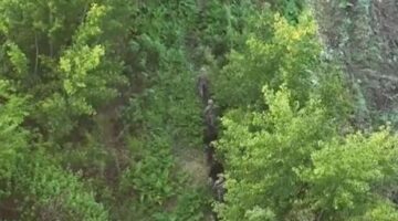 UNESCO Dünya Mirası Hevsel Bahçeleri’nde uyuşturucu baskını! Ekipler şaşkına döndü