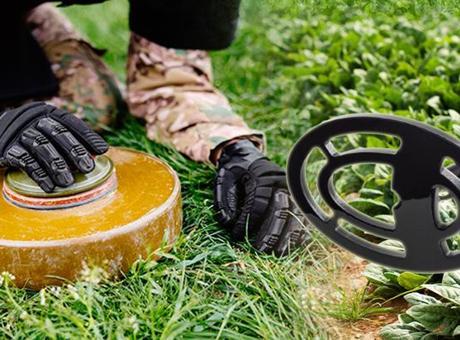 Yapraklarıyla alarm veriyor! Ispanağı dedektöre dönüştürdü: ‘Altını da bombayı da bulur’