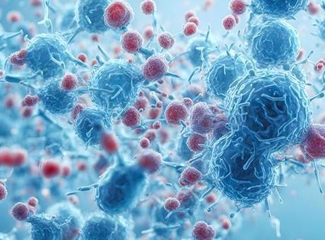 Yunanistan’da Strep A bakterisi alarmı! 9 okulda eğitime ara verildi