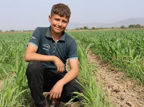 14 yaşında 300 dönümlük arazinin patronu: Bana göre güzel bir uğraş