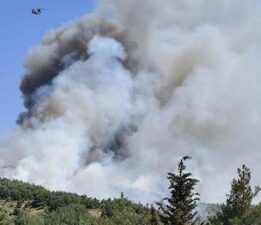 2 kentte yangın paniği! Havadan ve karadan müdahale başladı