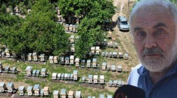 30 sene önce hobi olarak başladı, şimdi paraya para demiyor! ‘Buranın çevresi çok verimli’
