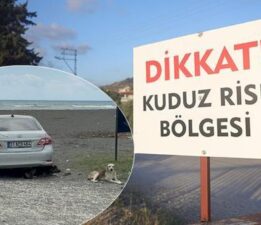 4 mahallede kuduz karantinası: Köpekler toplanmaya başladı