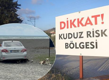 4 mahallede kuduz karantinası: Köpekler toplanmaya başladı