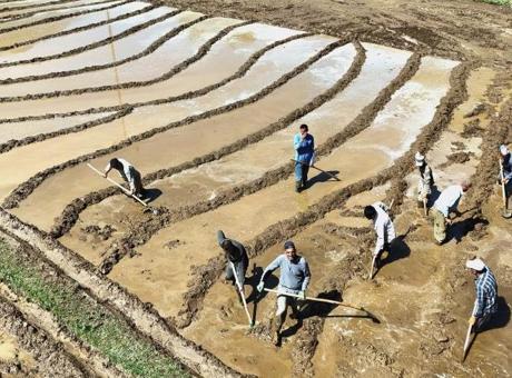 400 yıllık gelenek! Sabah 5’te kalkıyorlar, ne traktör var ne makine: ‘Dededen babadan kalma’