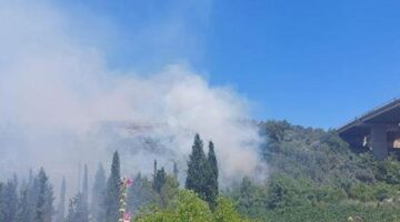 5 ilde orman yangını! Bursa’da alevler yerleşim yerlerine sıçradı