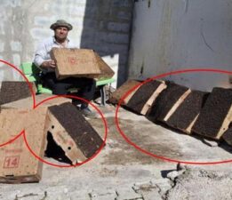 Adanalı mucit köy girişine yerleştirdi! ’15 dakikada 4 karton doldu’