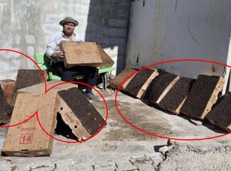Adanalı mucit köy girişine yerleştirdi! ’15 dakikada 4 karton doldu’