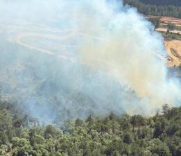 Balıkesir’de orman yangını! Ekipler müdahale ediyor