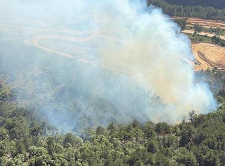 Balıkesir’de orman yangını! Ekipler müdahale ediyor
