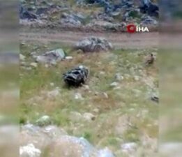 Batman’da feci kaza! Bilirkişilerin olduğu araç şarampole yuvarlandı: 3 ölü