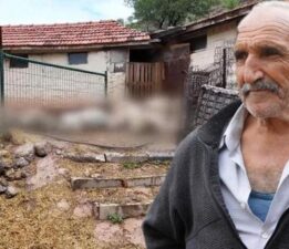 Bir gecede hepsi yok oldu! ‘Canavar geldi, hepsini kırdı geçti’