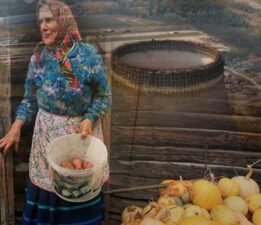 Çernobil’den nasıl patates, mısır fışkırdı? Enerji savaşları başladı: ‘Uzak olan tehlikede’