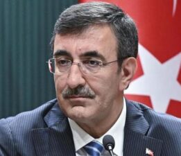 Cumhurbaşkanı Yardımcısı Yılmaz’dan, orman yangınlarıyla ilgili açıklama