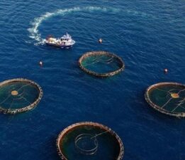 Doğu Karadeniz’in su ürünleri ihracatı 69,8 milyon doları aştı