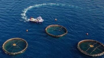 Doğu Karadeniz’in su ürünleri ihracatı 69,8 milyon doları aştı