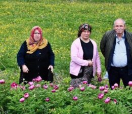 Dokunmak yasak! Bedeli yarım milyon