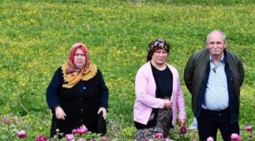Dokunmak yasak! Bedeli yarım milyon