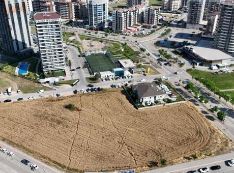 Dönümü 30 milyon TL! Gökdelen ve rezidansların ortasındaki tarla şaşırttı