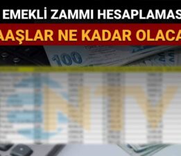 Emekli maaş zammı Temmuz 2025: En düşük emekli maaşı ne kadar olacak? SSK, Bağ-Kur ve Emekli Sandığı zam hesaplaması