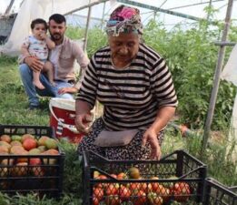 Emekli olduktan sonra memleketine dönüp üretime başladı: ‘Borçla kurdum, 3 aile geçindiriyorum’