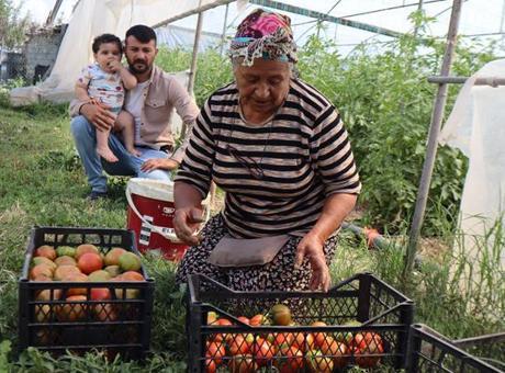 Emekli olduktan sonra memleketine dönüp üretime başladı: ‘Borçla kurdum, 3 aile geçindiriyorum’
