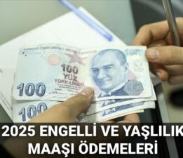Engelli ve yaşlılık maaşı ödemeleri Haziran 2025: Engelli ve yaşlılık maaşları yattı mı?