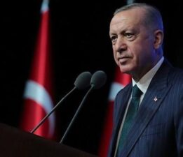 Erdoğan: Dijital platformların pazarı olmayız