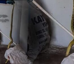Evden çıkan dev yılan korkuttu