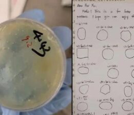 FBI harekete geçti! Çinli bilim insanından ‘biyolojik materyal kaçakçılığı’