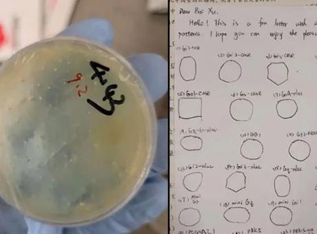 FBI harekete geçti! Çinli bilim insanından ‘biyolojik materyal kaçakçılığı’
