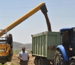 Gaziantep’te arpa ve buğday hasadı devam ediyor