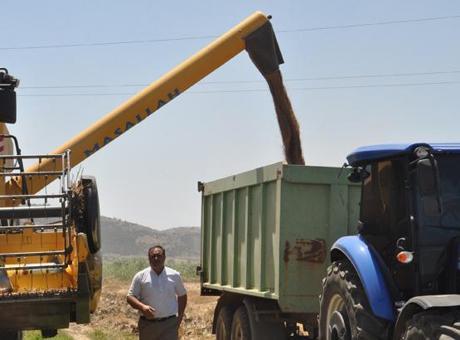 Gaziantep’te arpa ve buğday hasadı devam ediyor