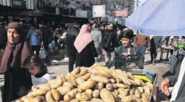 Gazze’de patates bile lüks!