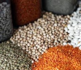Güneydoğu’dan 5 ayda 1,5 milyar dolarlık hububat ihracatı