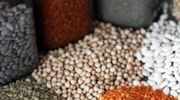 Güneydoğu’dan 5 ayda 1,5 milyar dolarlık hububat ihracatı