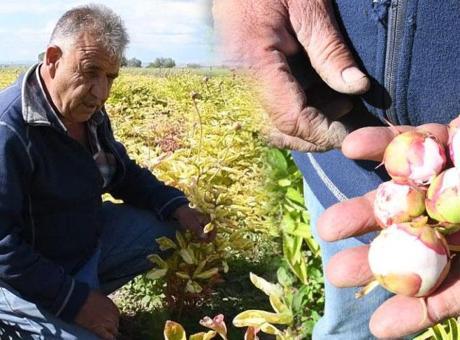Gurbetçiye büyük şok! 13 yıllık emeği bir gecede yok oldu