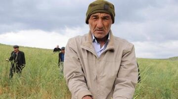 Haziran ayında dolu yağdı ekinler zarar gördü