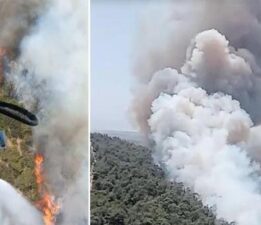 İzmir’de orman yangını! Havadan karadan müdahale